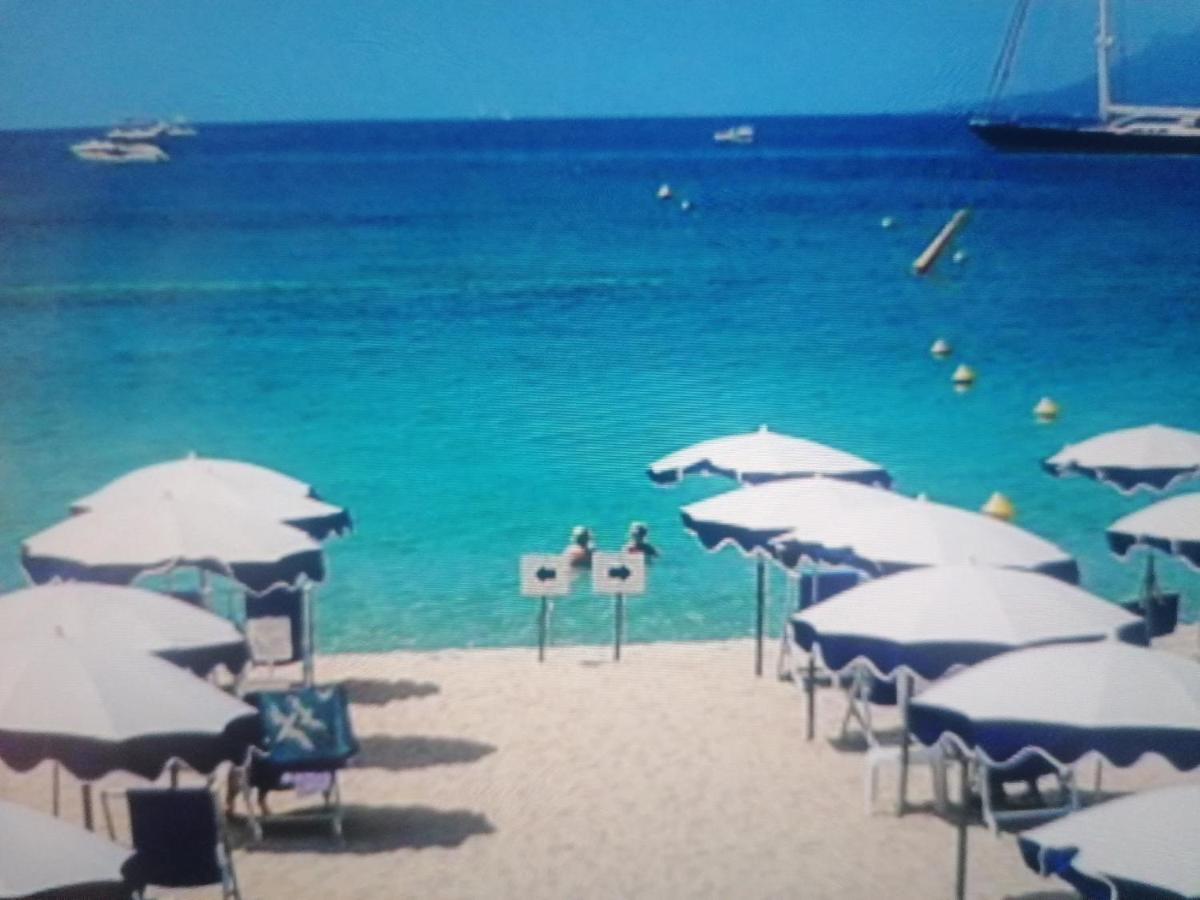 Lecerf Appartement Cannes
